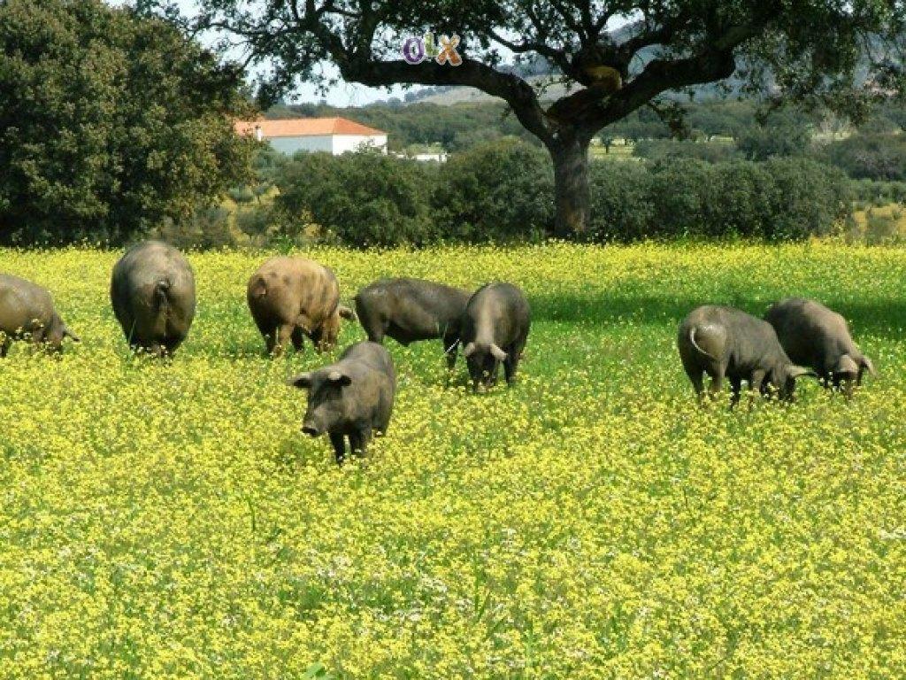 Abetarda CC Villa Sao Marcos da Ataboeira Bagian luar foto