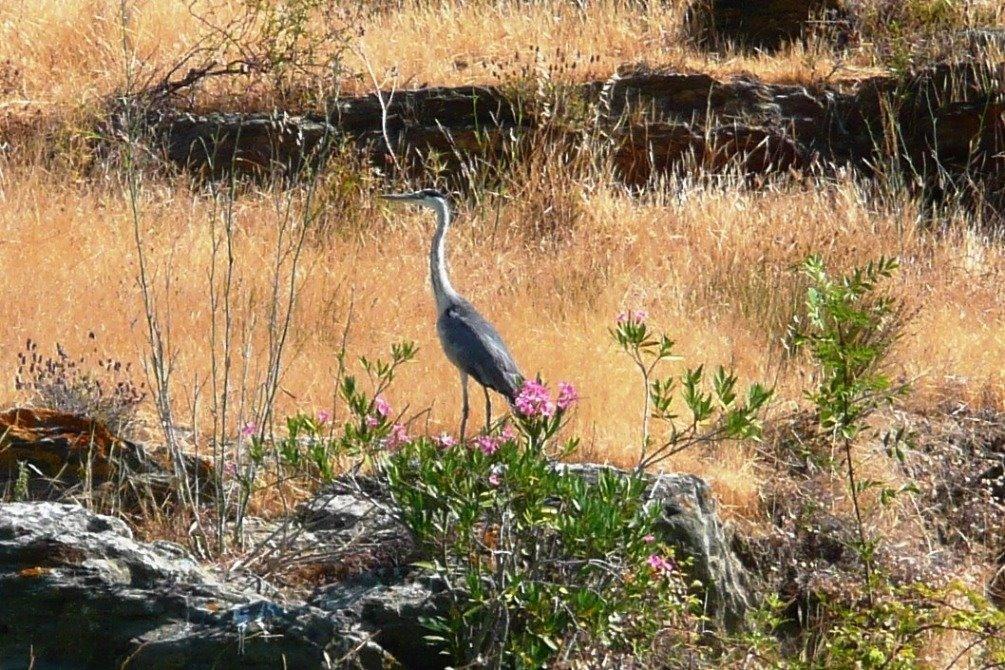 Abetarda CC Villa Sao Marcos da Ataboeira Bagian luar foto